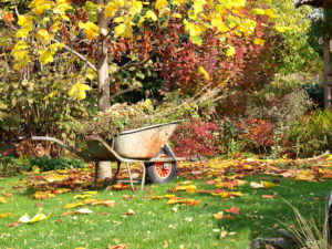 Giardino in autunno