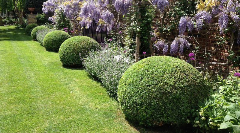 Giardino verde